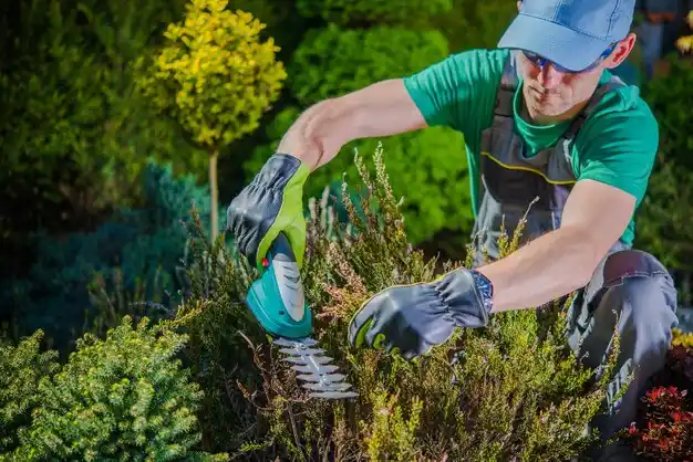 landscaping services Osyka